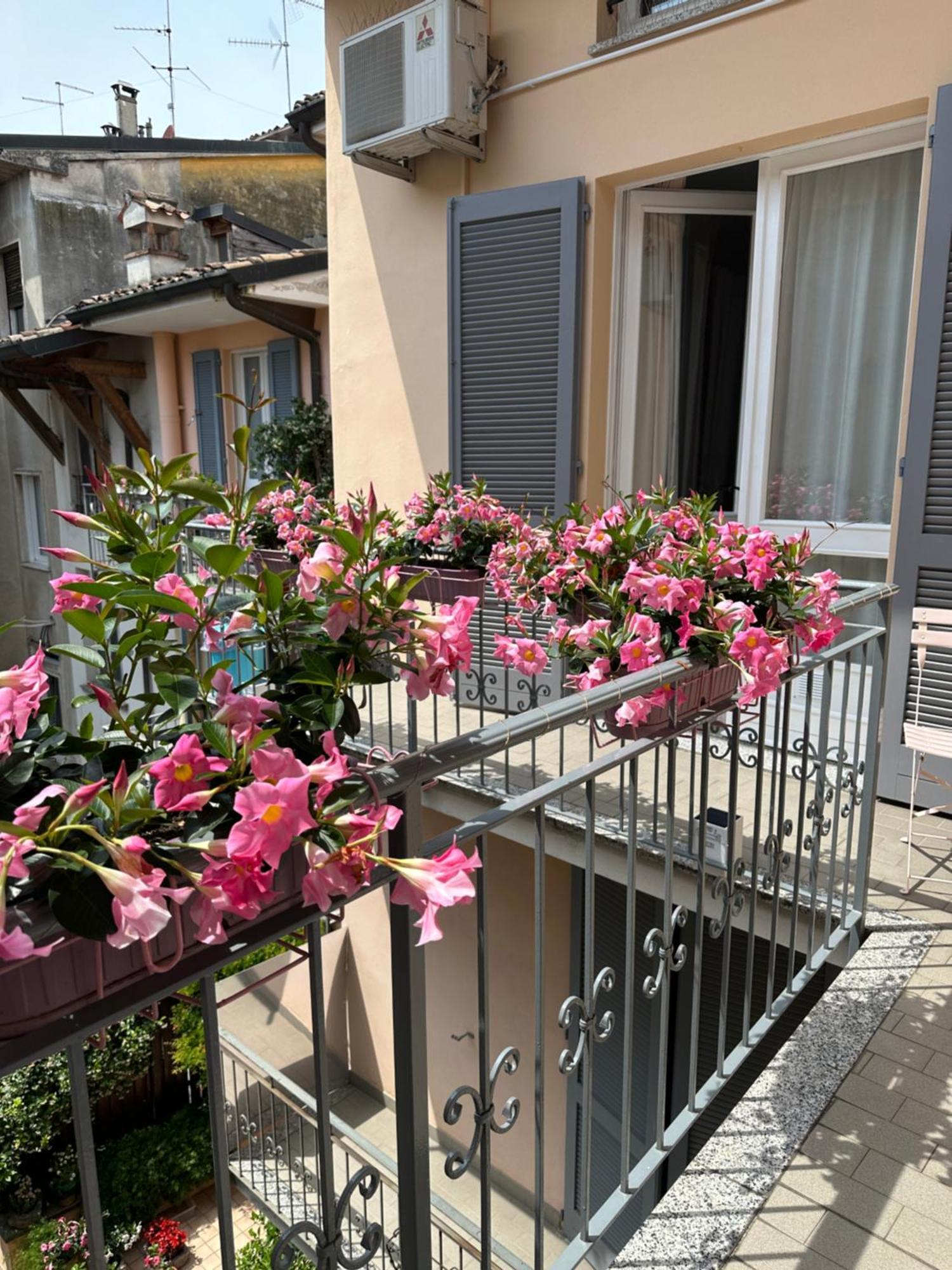 D-Place Apartment Piazza Duomo Crema Εξωτερικό φωτογραφία